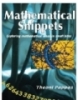 Mathematical Snippets: Exploring mathematical ideas in small bites