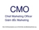 CMO Chief Marketing Officer - Giám đốc Marketing