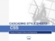 CASCADING STYLE SHEETS  CSS
