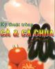 Ebook Kỹ thuật trồng cà và cà chua: Phần 2 - GS.TS. Đường Hồng Dật