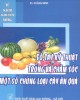 Ebook Sổ tay Kỹ thuật trồng và chăm sóc một số chủng loại cây ăn quả: Phần 1