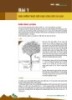 Bài giảng Tập huấn trồng ca cao bài 1: Đặc điểm thực vật học của cây ca cao
