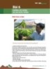Bài giảng Tập huấn trồng ca cao bài 6: Dưỡng cây giống và các bước trồng